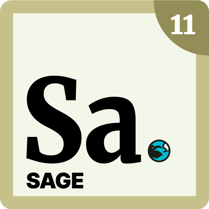 Archetype Journey Icon 11 - The Sage